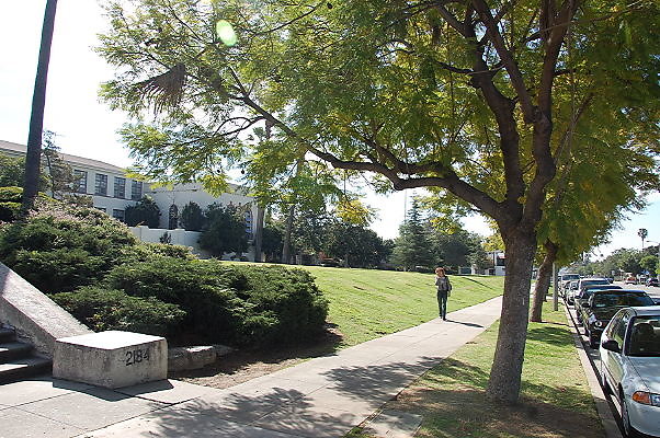 DSC 0004