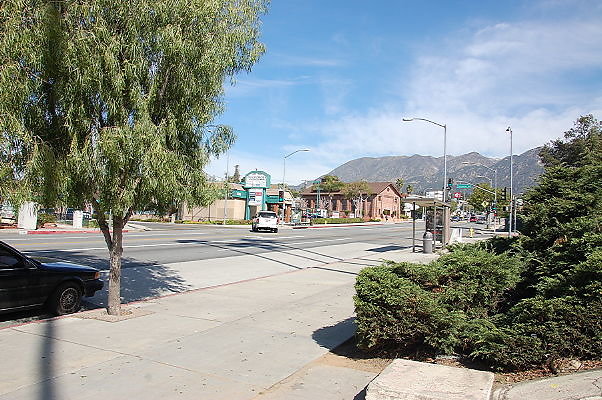 DSC 0007