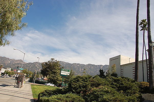 DSC 0008