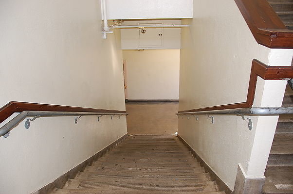 DSC 0082