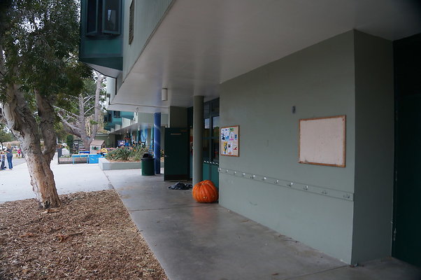DSC03085