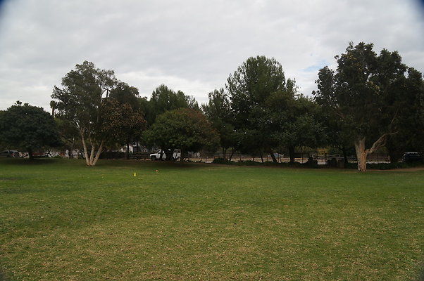 DSC03101
