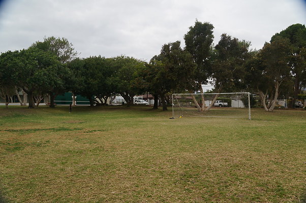 DSC03104