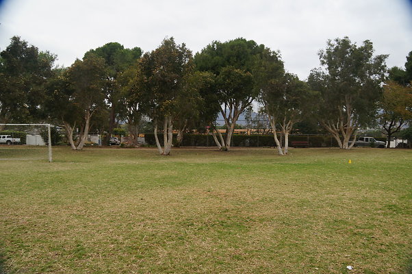 DSC03105