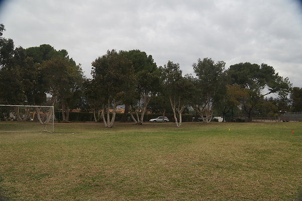 DSC03095