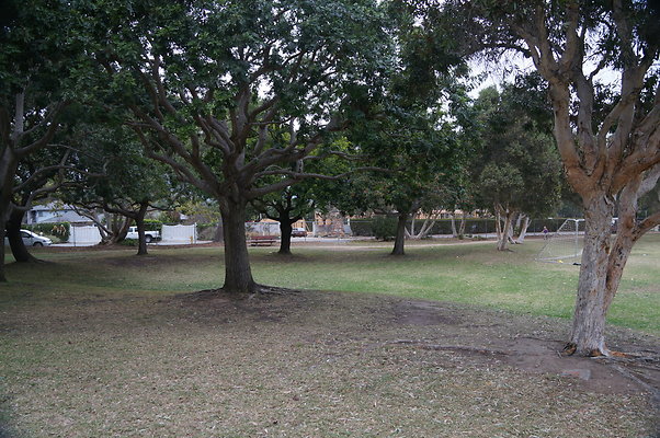 DSC03091