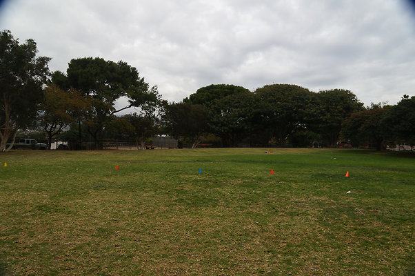 DSC03106