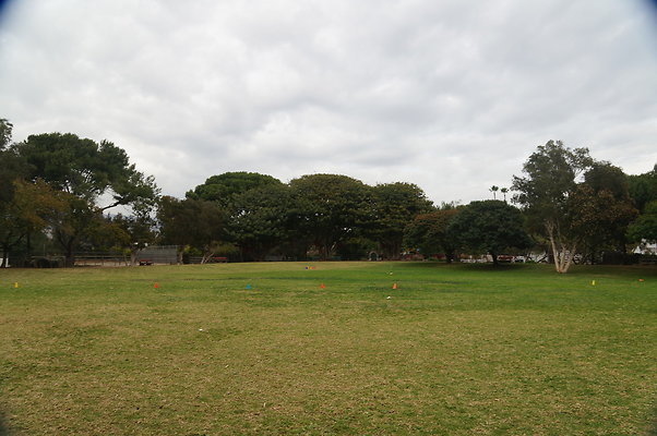 DSC03096