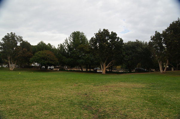DSC03097