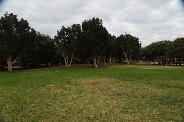 DSC03102