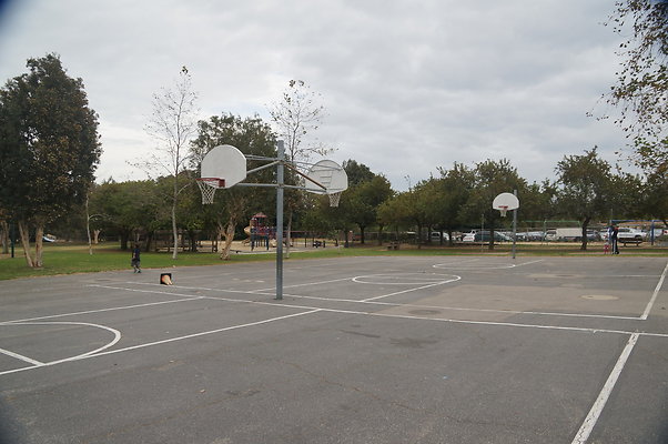 DSC03084