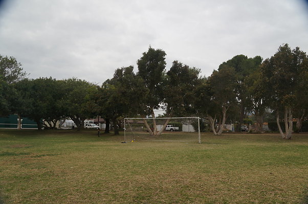 DSC03100