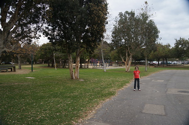 DSC03090