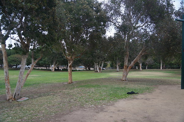 DSC03094