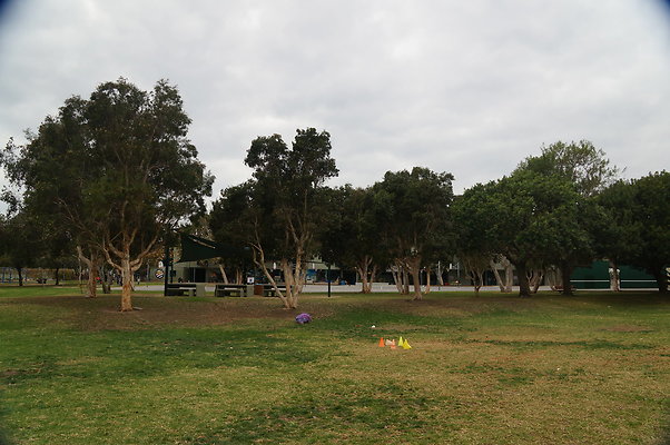DSC03099