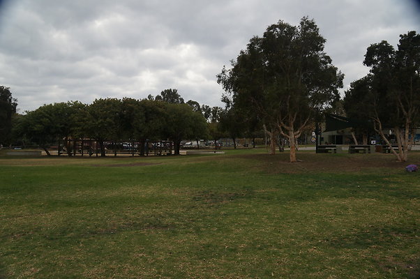 DSC03103