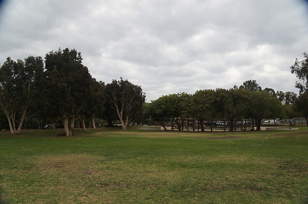 DSC03098