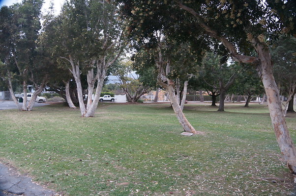 DSC03088