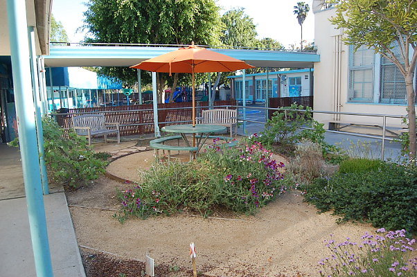 DSC 0095