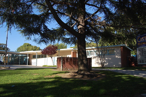 DSC 0029
