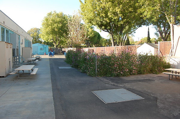 DSC 0105