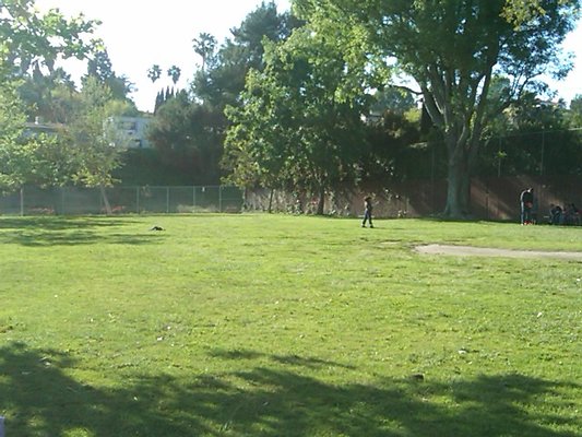 IMG00116-20100405-1712