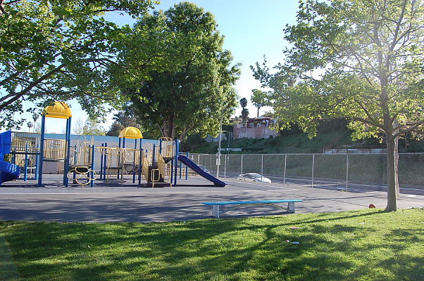 DSC 0049