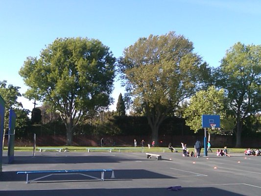 IMG00124-20100405-1717