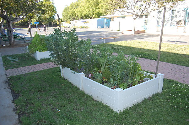 DSC 0081