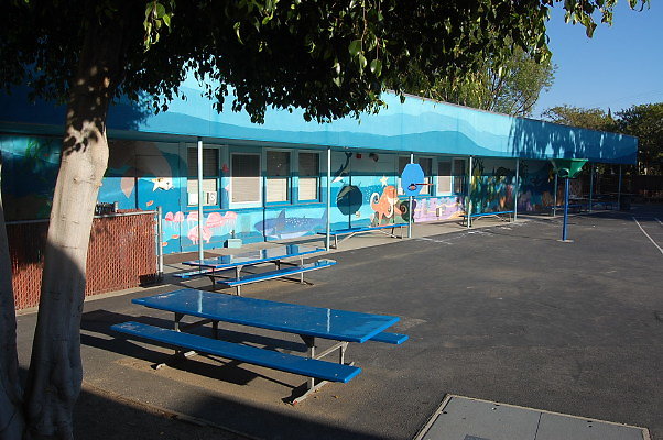 DSC 0097