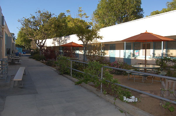 DSC 0101