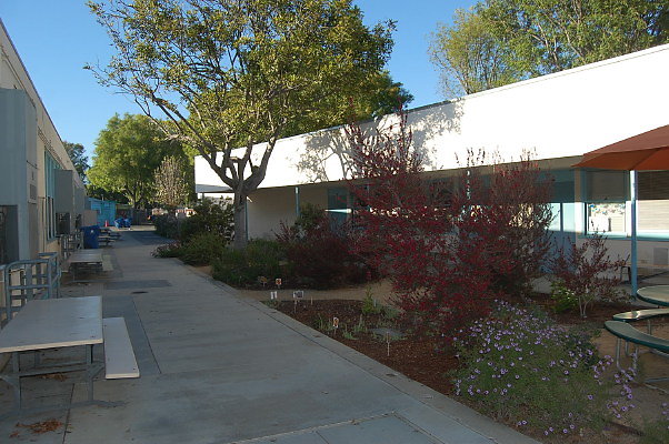 DSC 0102