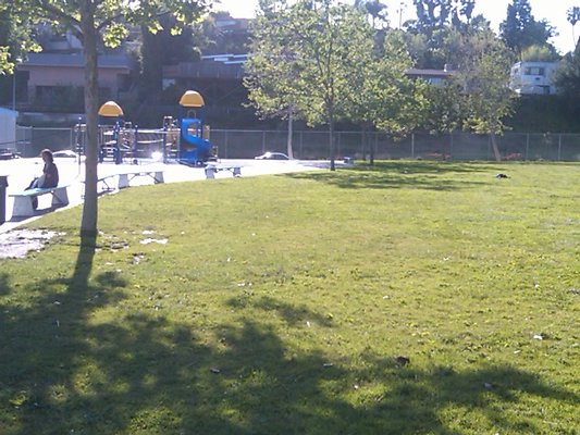IMG00118-20100405-1713
