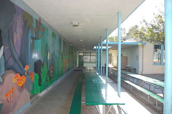 DSC 0072