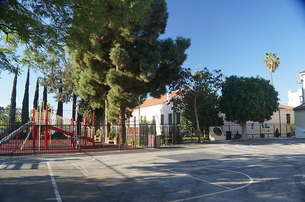 DSC02713