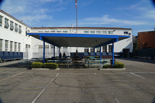 DSC02997
