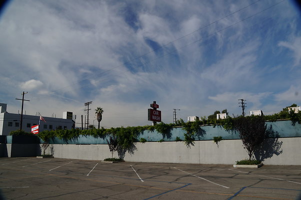 DSC03019