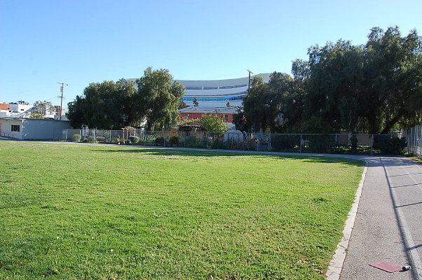 DSC 0384