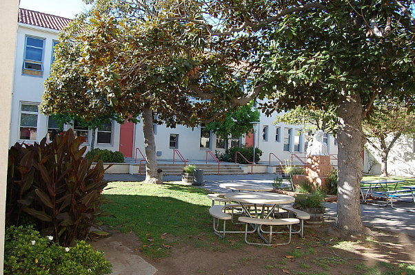 DSC 0339