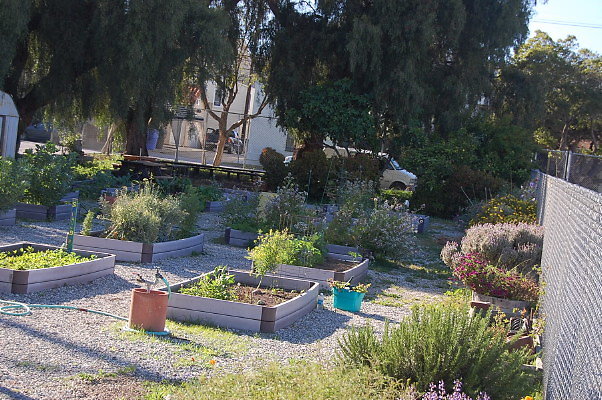 DSC 0372