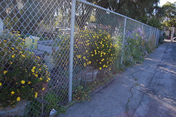 DSC 0374