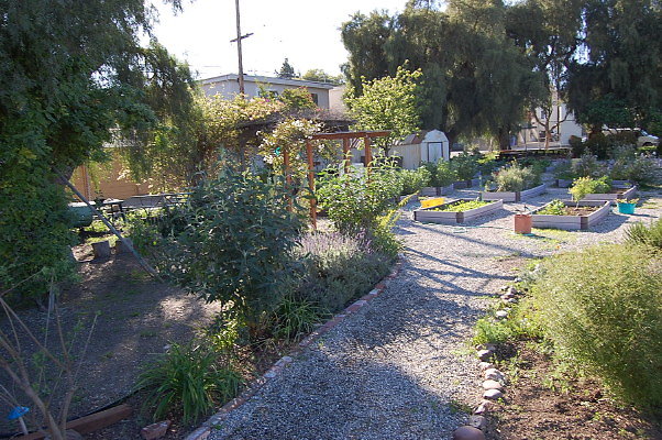 DSC 0371