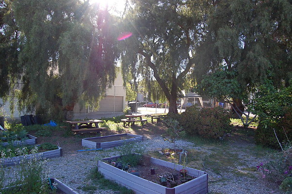 DSC 0378