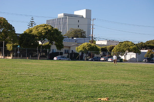DSC 0365