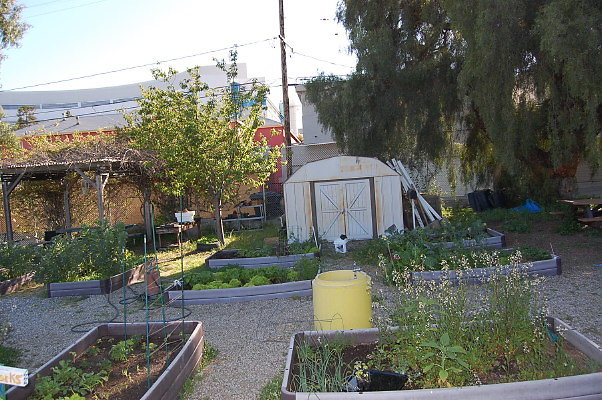 DSC 0377