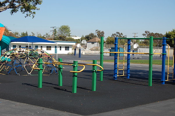 DSC 0253