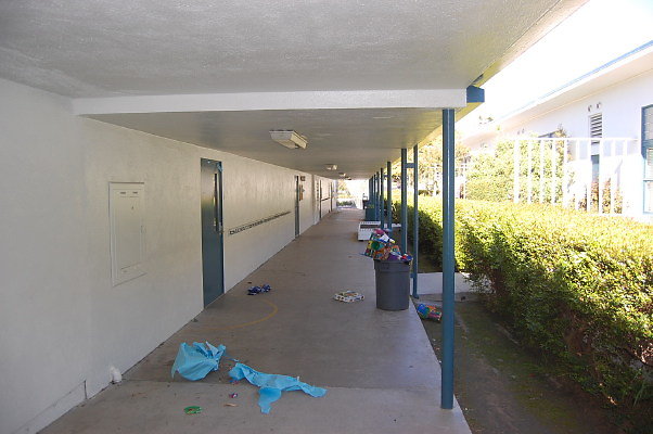 DSC 0238