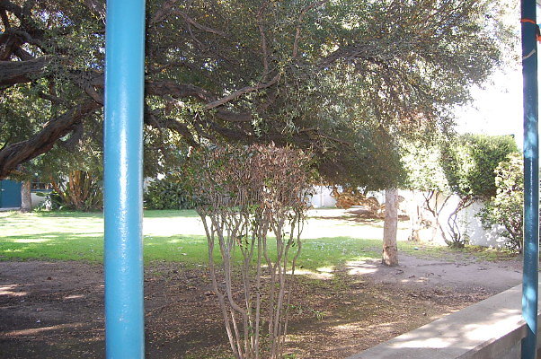DSC 0294