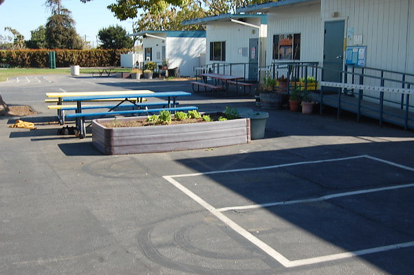 DSC 0255