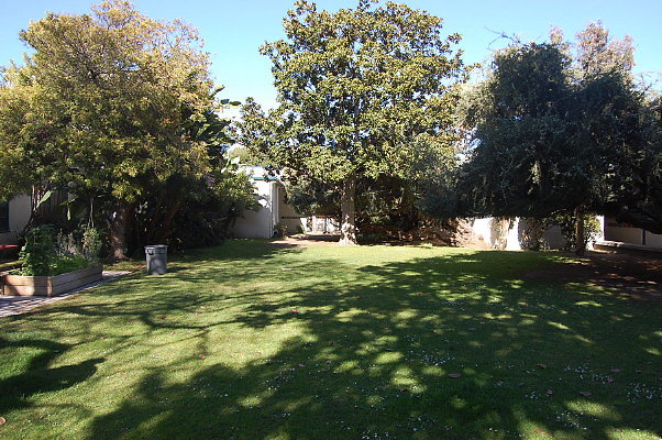 DSC 0230